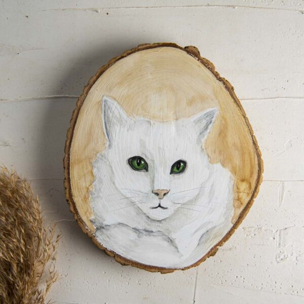Sulu boya Duvar Panosu – Beyaz Kedi